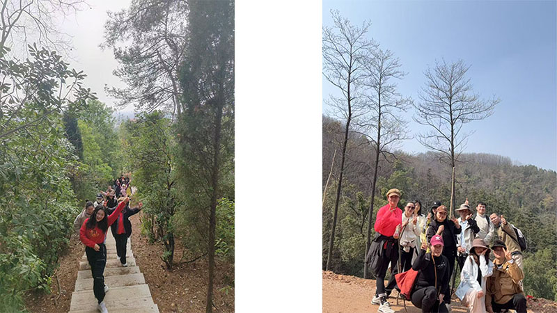 1741569582509614.jpg 800-3.jpg