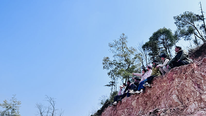 1741569624955657.jpg 800-2.jpg