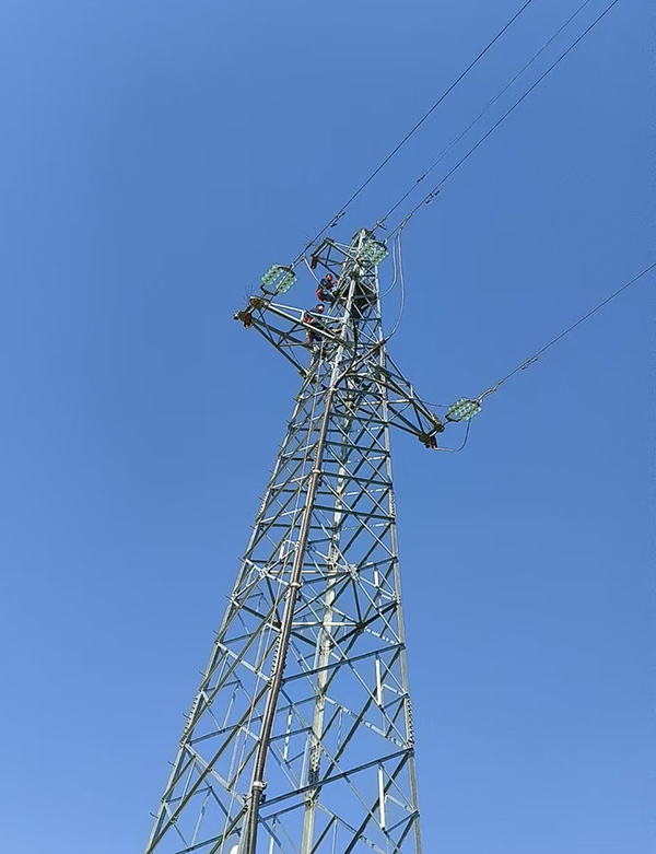 1742440258516058.jpg 1742349980409760.jpg